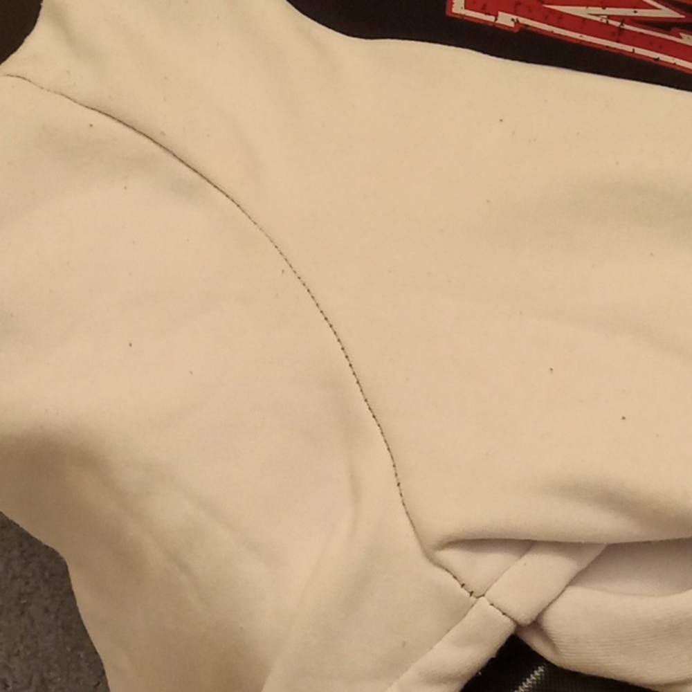 Faded Rose Colorblock Sweatshirt - Picture 4 of 4